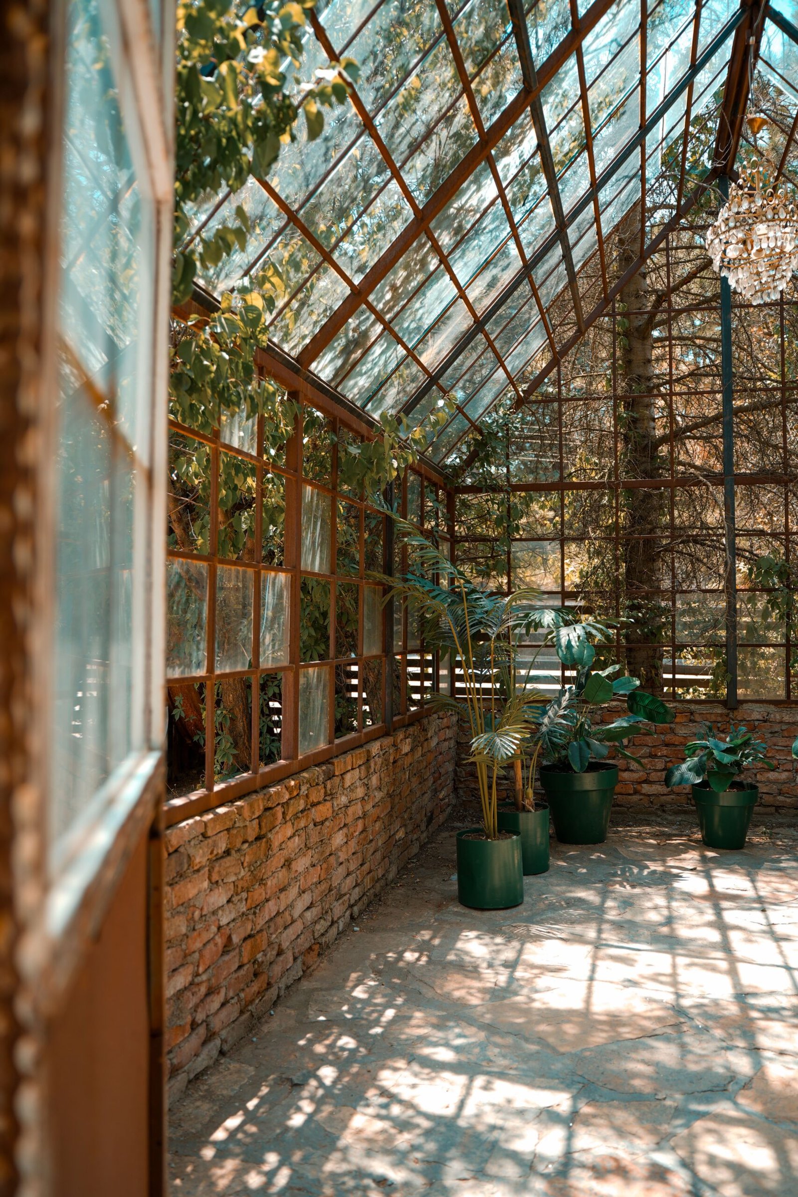 A cozy greenhouse filled with sunlight and potted plants, perfect for gardening enthusiasts.